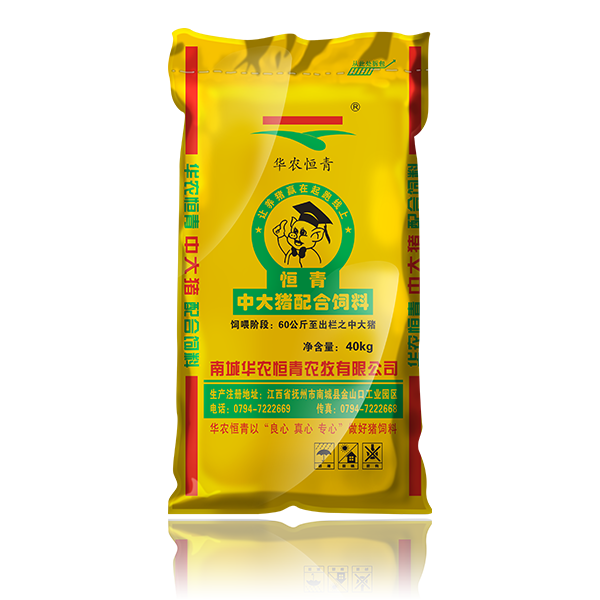 浙江盛煌娱乐包装科技集团有限公司