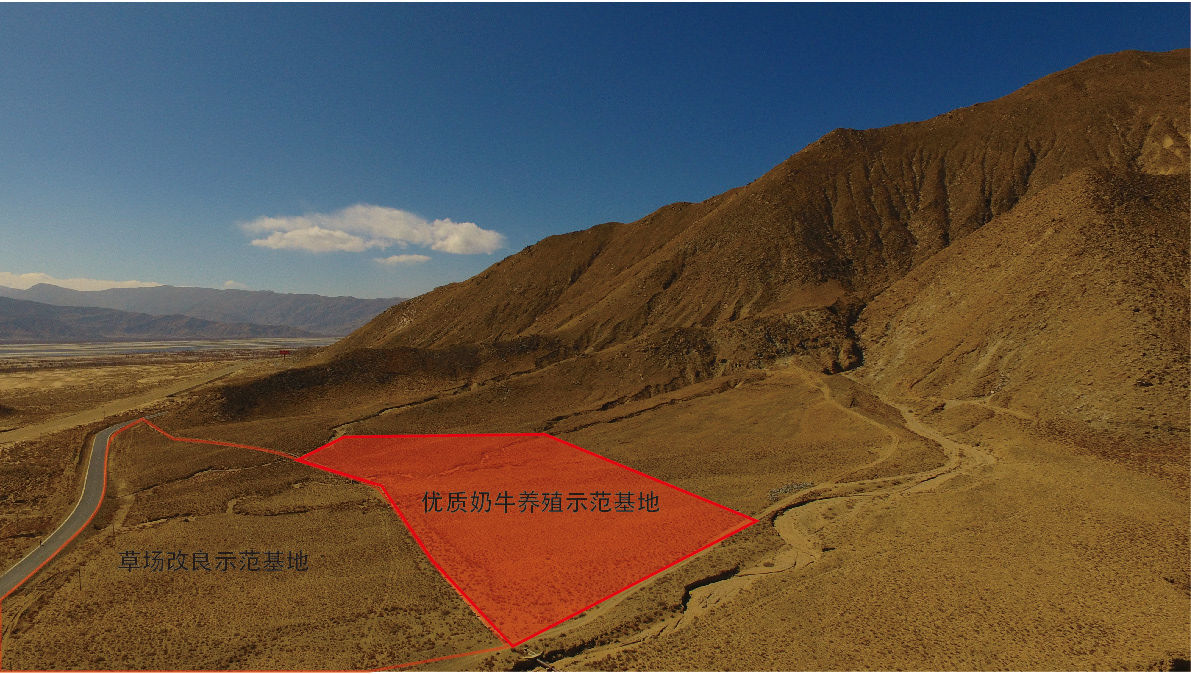 OG东方馆·(中国)有限公司官网