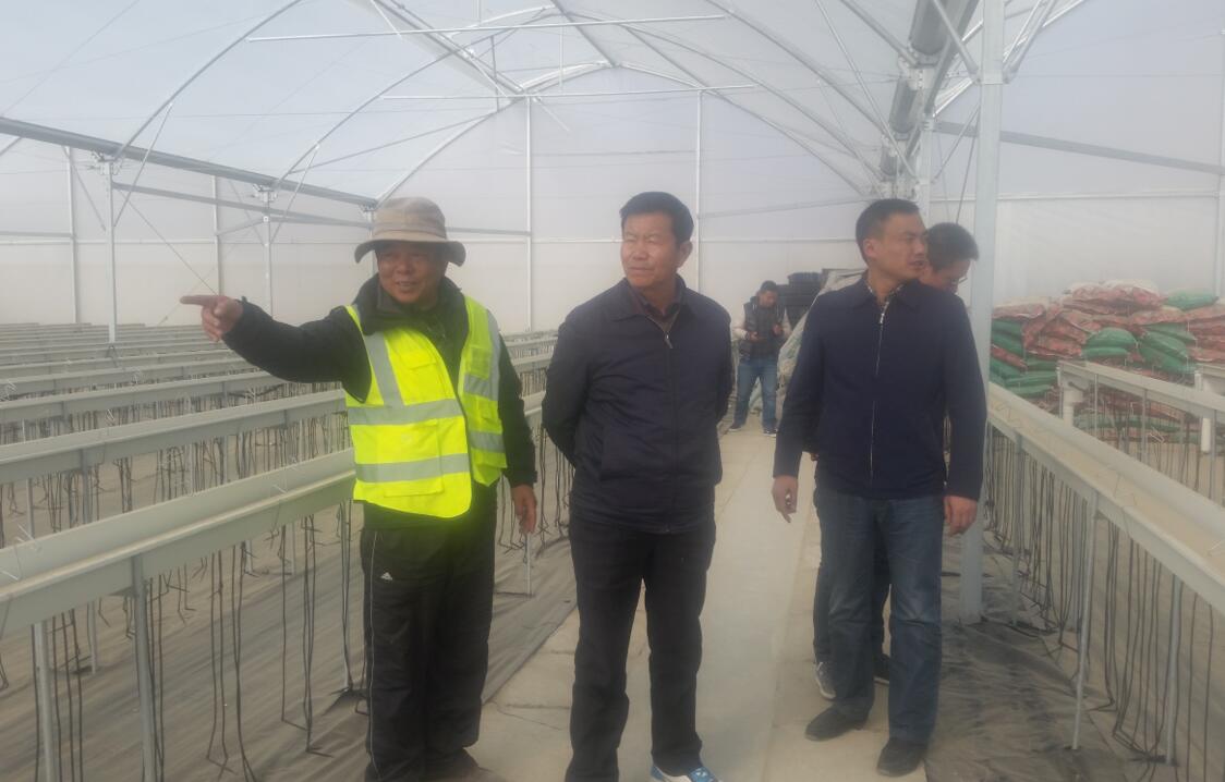 OG东方馆·(中国)有限公司官网