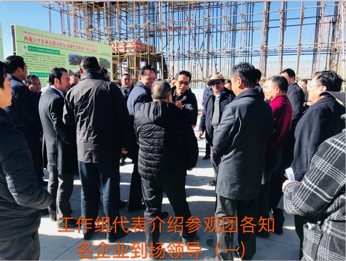 OG东方馆·(中国)有限公司官网