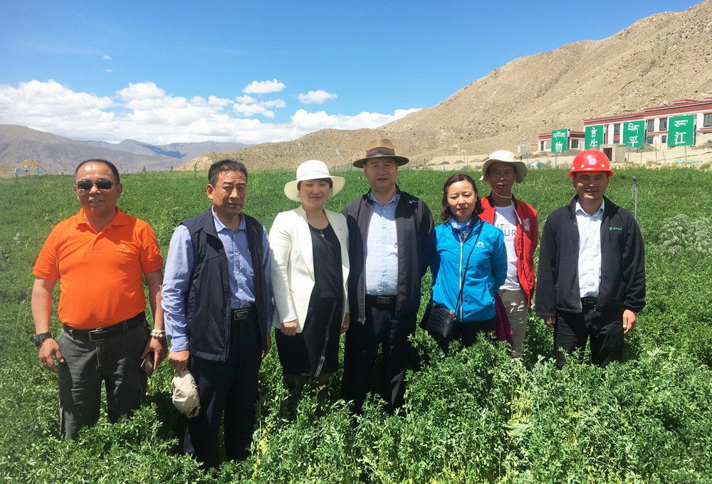 OG东方馆·(中国)有限公司官网