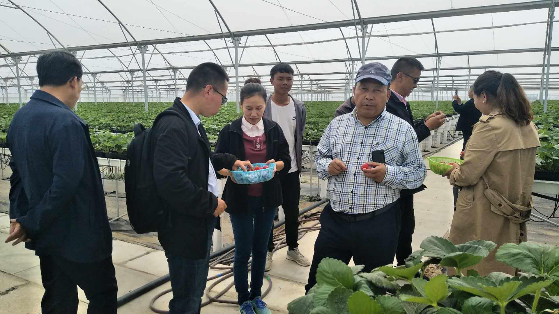 OG东方馆·(中国)有限公司官网