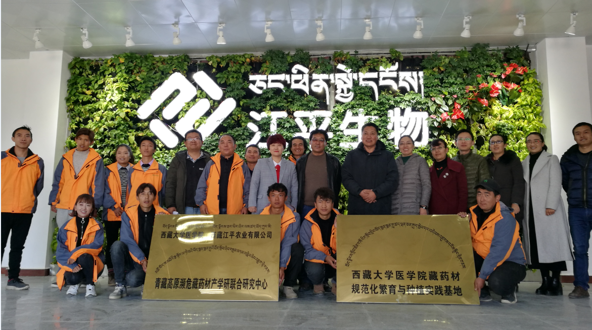 OG东方馆·(中国)有限公司官网