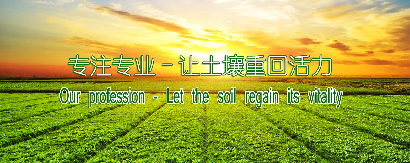 OG东方馆·(中国)有限公司官网