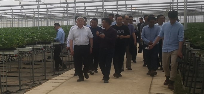 OG东方馆·(中国)有限公司官网