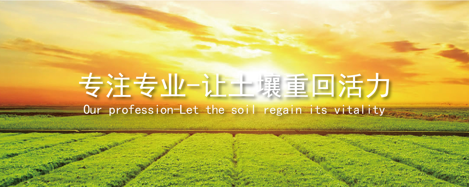 OG东方馆·(中国)有限公司官网