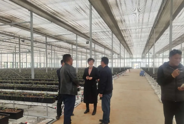 OG东方馆·(中国)有限公司官网