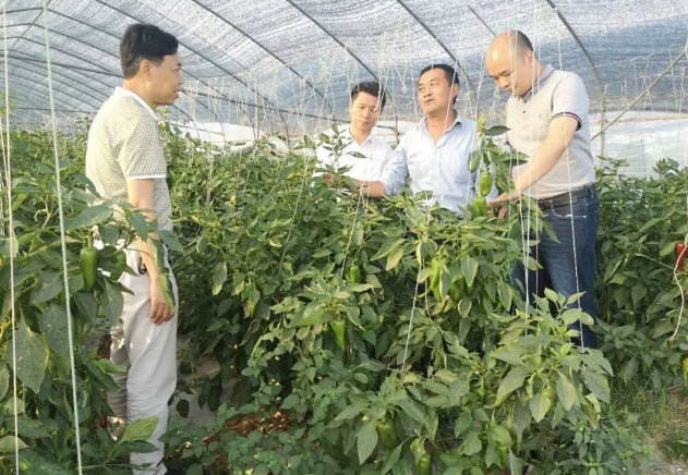 OG东方馆·(中国)有限公司官网