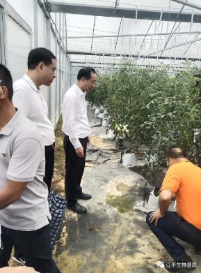 OG东方馆·(中国)有限公司官网