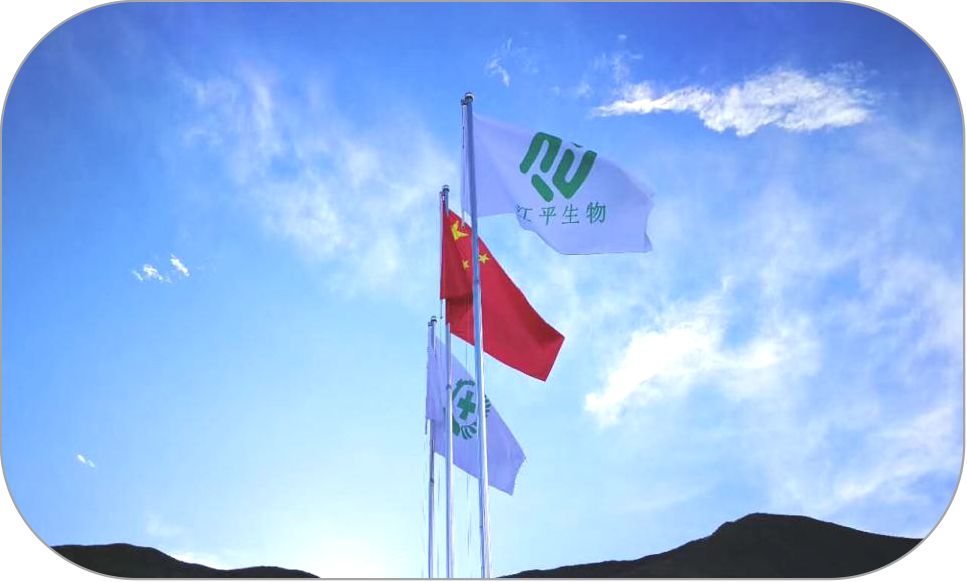 OG东方馆·(中国)有限公司官网