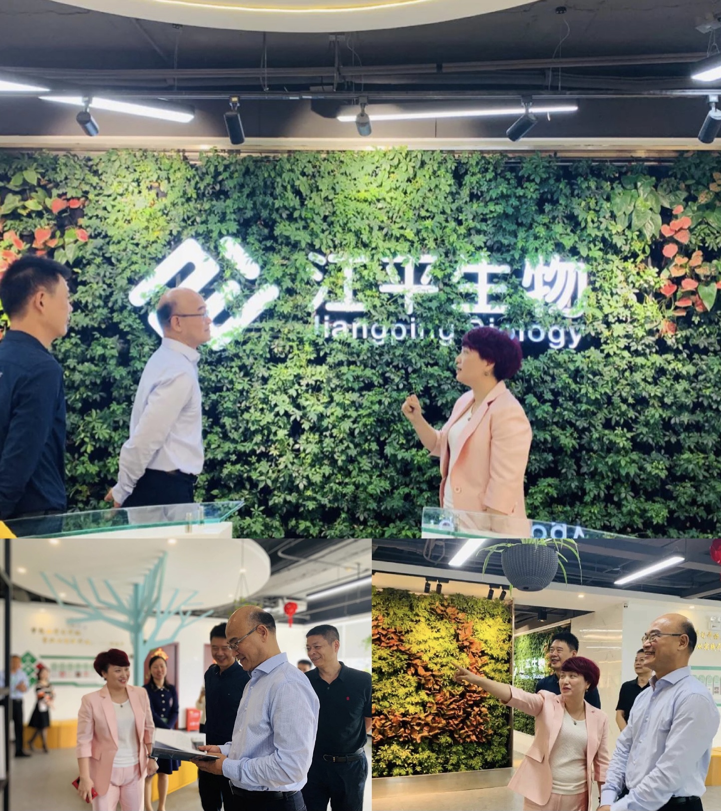 OG东方馆·(中国)有限公司官网
