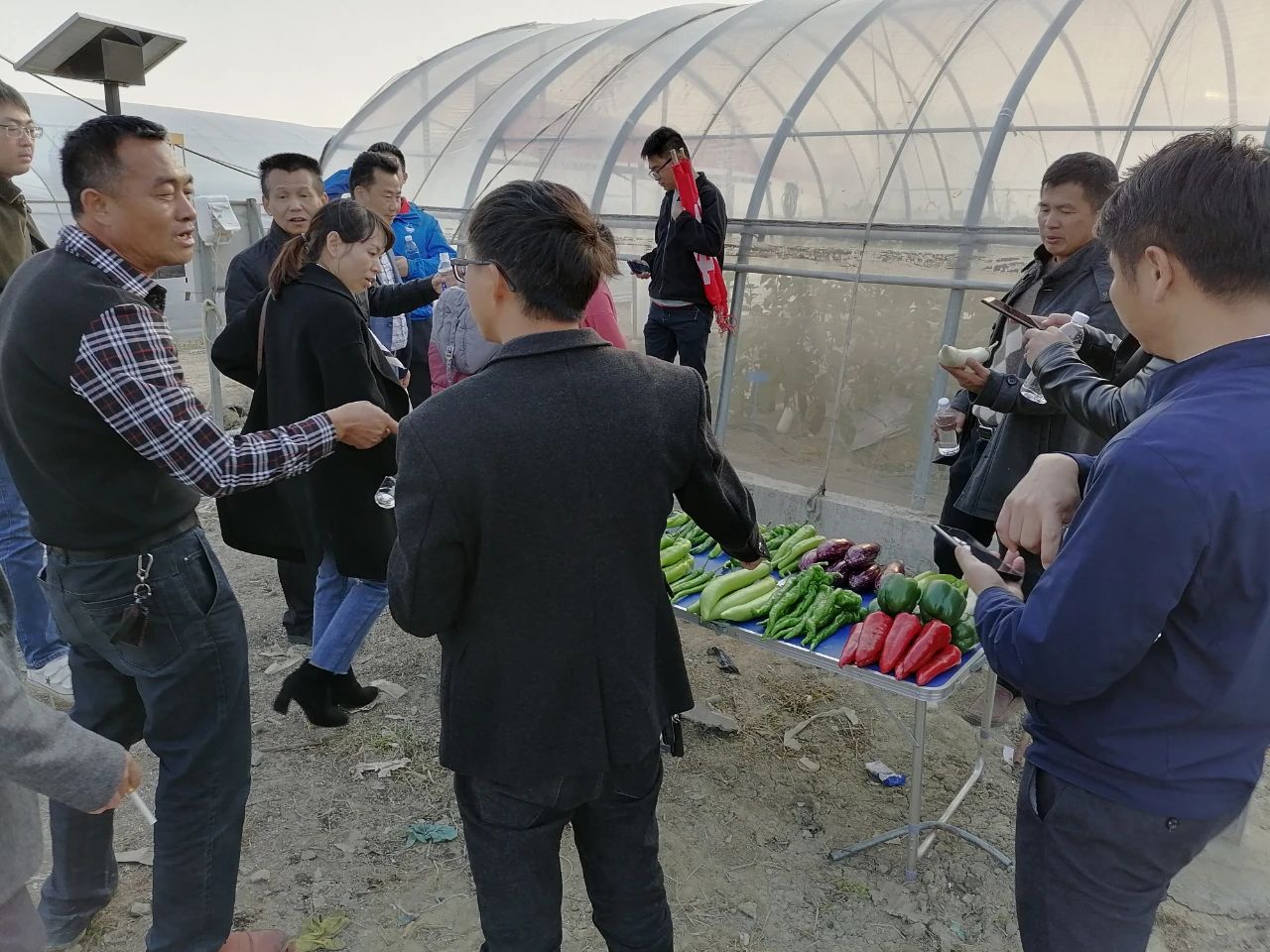 OG东方馆·(中国)有限公司官网