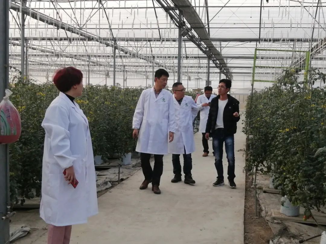 OG东方馆·(中国)有限公司官网