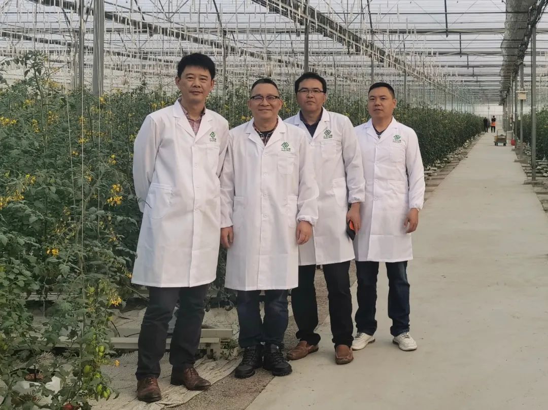OG东方馆·(中国)有限公司官网