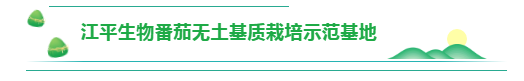 OG东方馆·(中国)有限公司官网