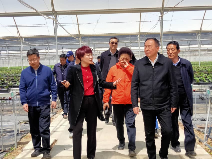 OG东方馆·(中国)有限公司官网