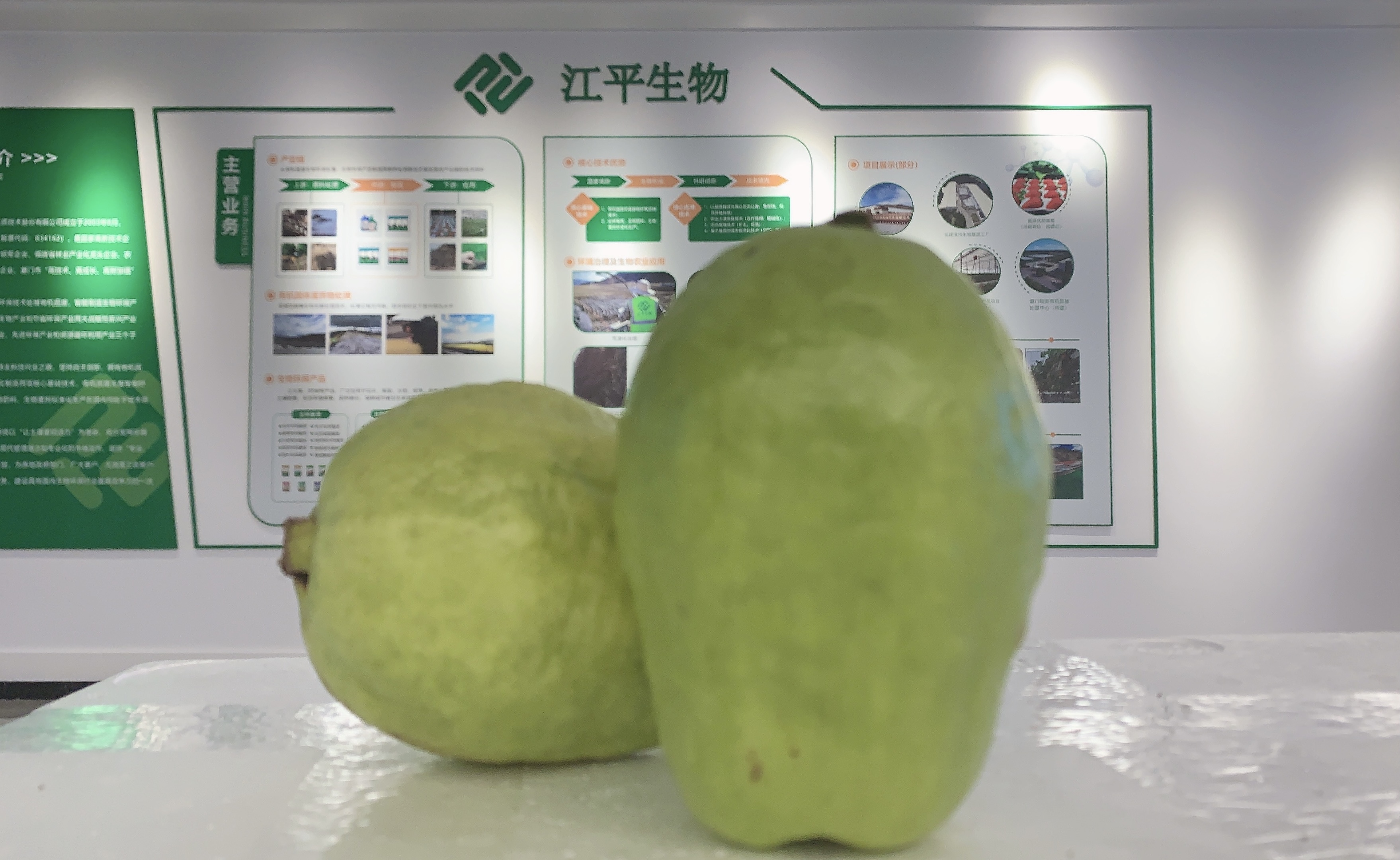 OG东方馆·(中国)有限公司官网