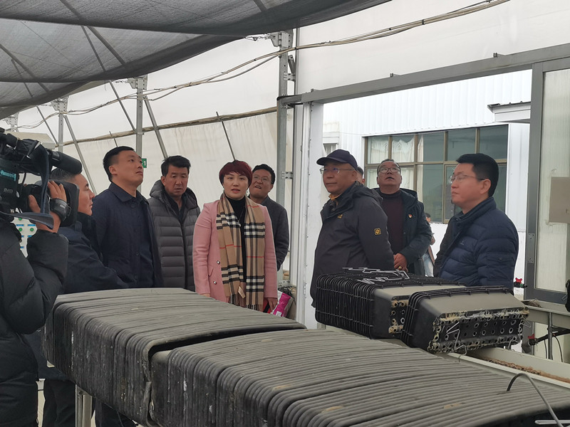 OG东方馆·(中国)有限公司官网