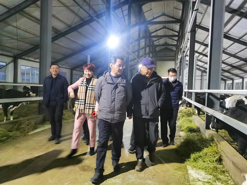 OG东方馆·(中国)有限公司官网