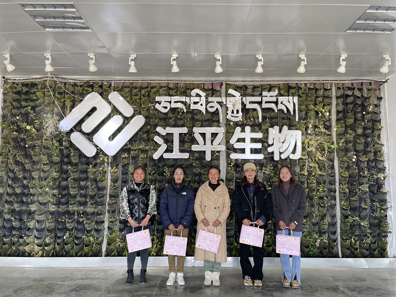 OG东方馆·(中国)有限公司官网