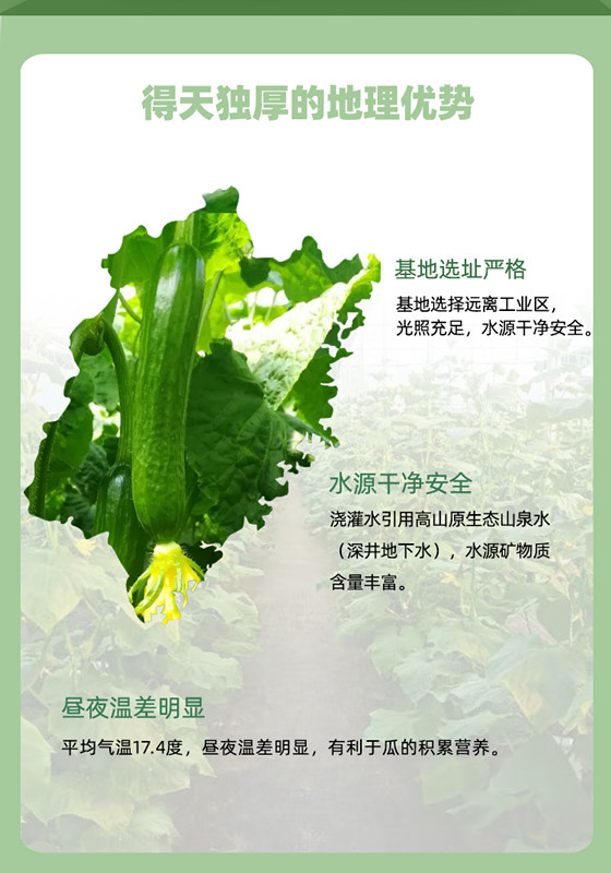 OG东方馆·(中国)有限公司官网