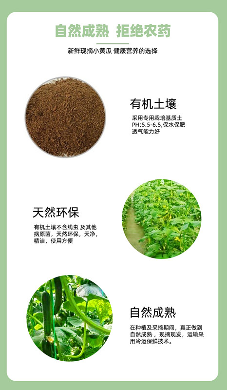OG东方馆·(中国)有限公司官网