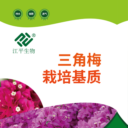OG东方馆·(中国)有限公司官网