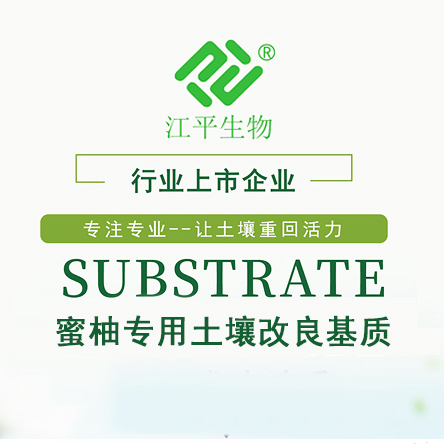 OG东方馆·(中国)有限公司官网