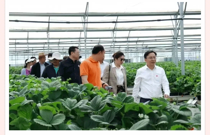 OG东方馆·(中国)有限公司官网