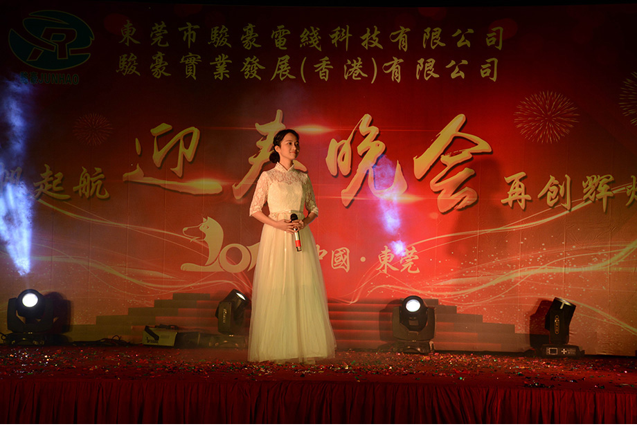 1-1P1300T43b05 97国际-至尊品牌,源于诺言