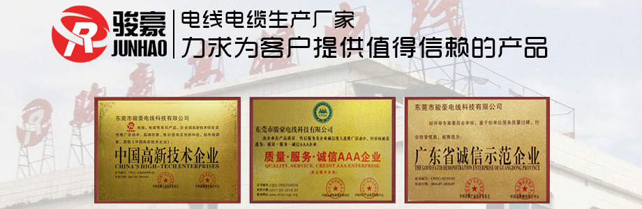 1-1P411113K0431 97国际-至尊品牌,源于信誉电线荣誉证书展示